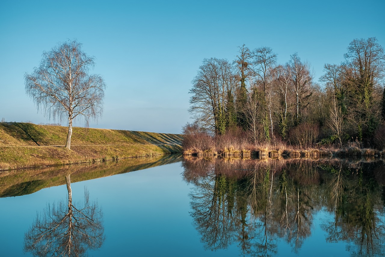 nature reserve, the rhine valley, the upper rhine level